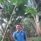 大明佳旺